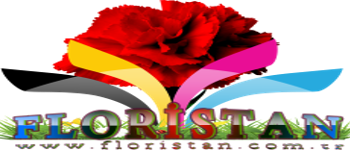 Floristan Tarım